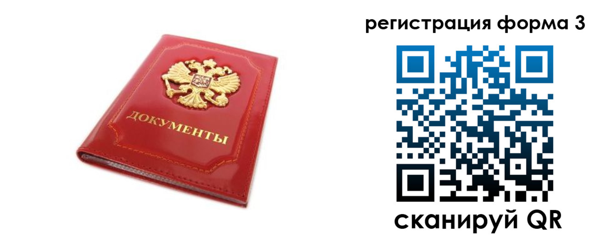 прописка иностранных граждан в Светлогорске
