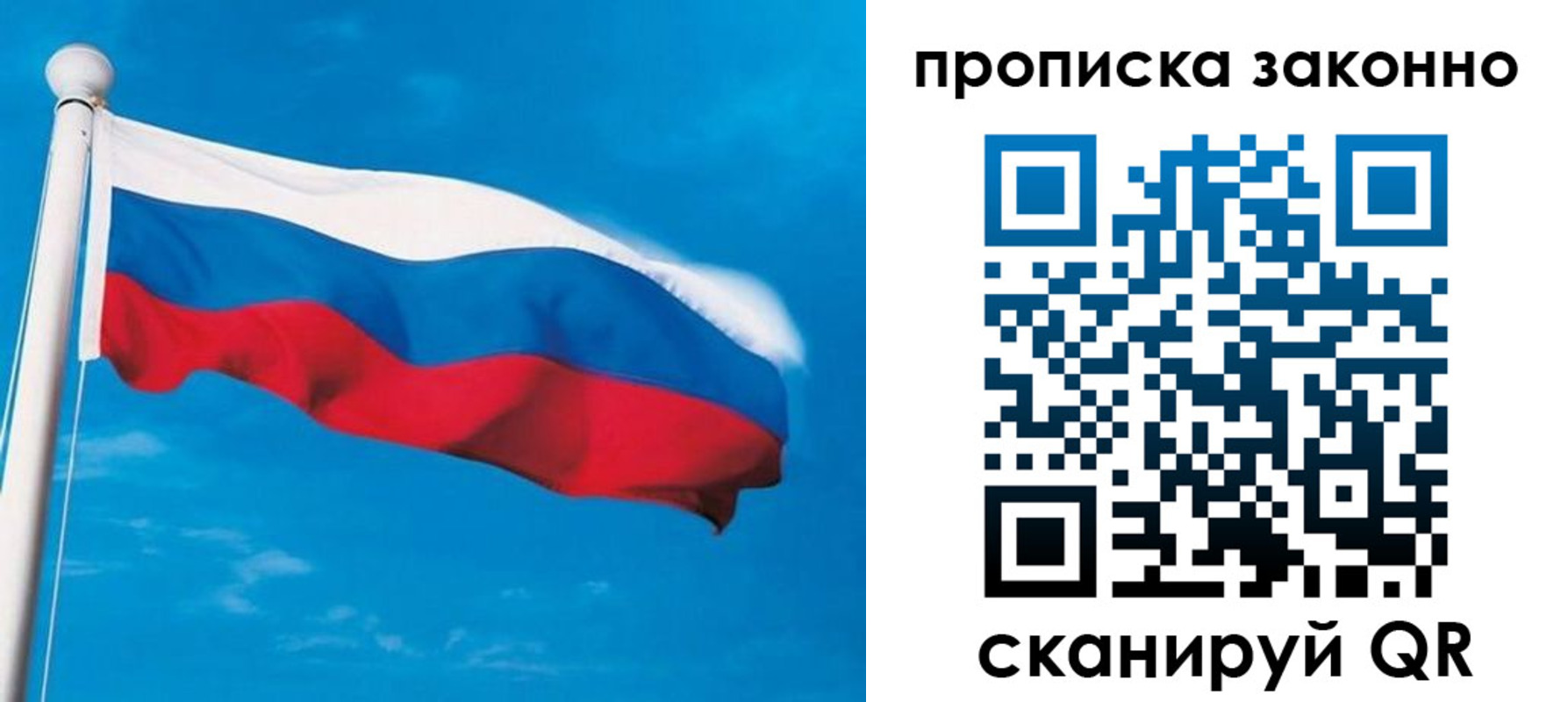прописка гарантия в Светлогорске